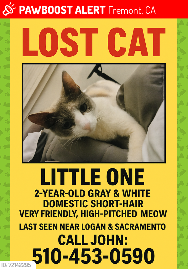 Lost Female Cat last seen Logan and Sacramento , Fremont, CA 94538