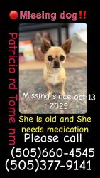 Reunited Female Dog last seen Patricio rd, Tome-Adelino, NM 87031