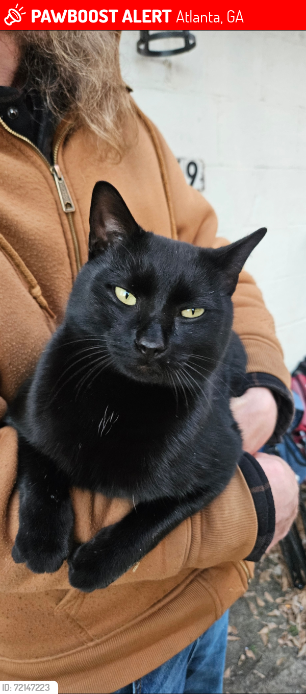 Lost Male Cat last seen Fleetwood Dr SE, Atlanta, GA 30316