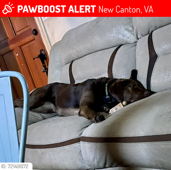 Lost Female Dog last seen Penlan Rd, New Canton, VA 23123