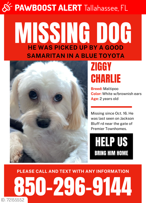 Lost Male Dog last seen Near Baldwin park drive , Tallahassee, FL 32304