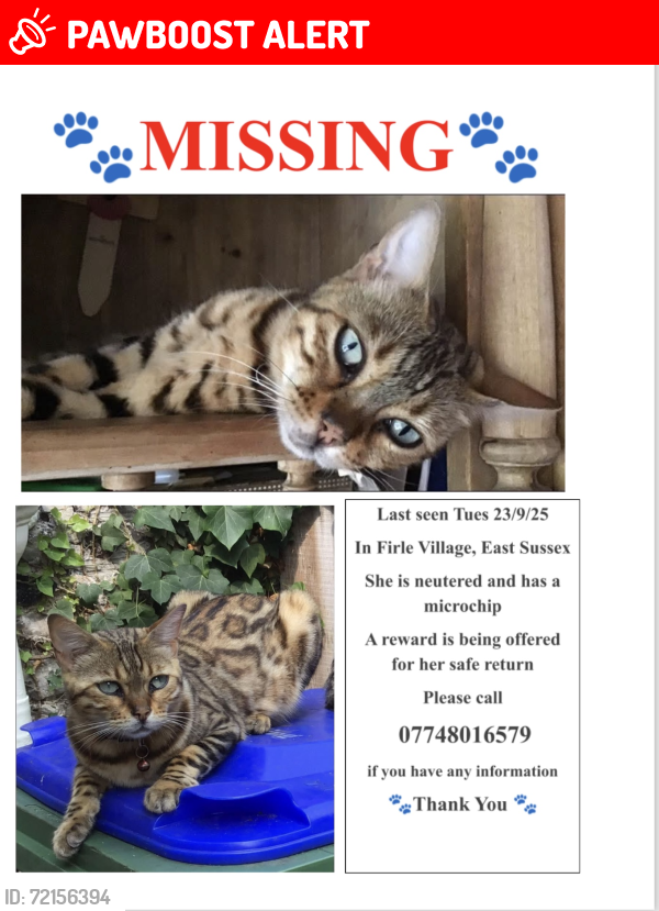 Lost Female Cat last seen The Ram Inn, Firle, England BN8 6NS
