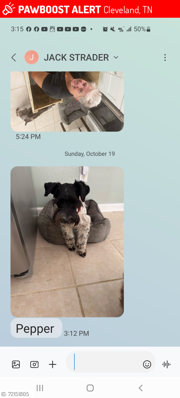 Lost Male Dog last seen HUNT ROAD / RAMSEY BRIDGE ROAD, Cleveland, TN 37323