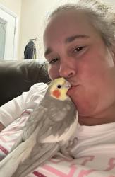 Lost Male Bird last seen Wabassco beach , Wabasso Beach, FL 32963