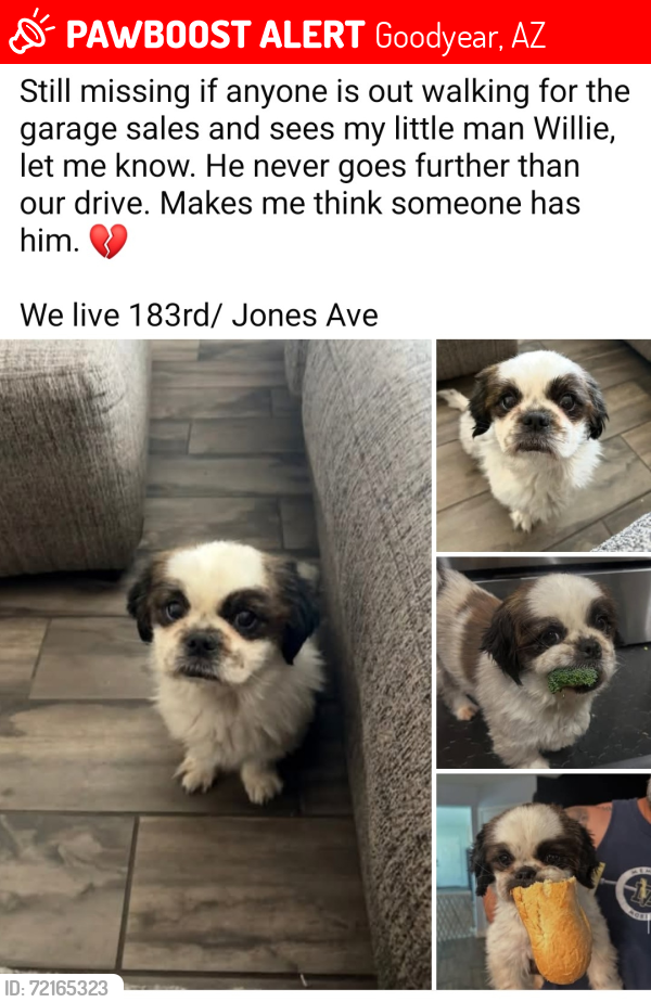 Lost Male Dog last seen 183rd and Jones, Goodyear, AZ 85338