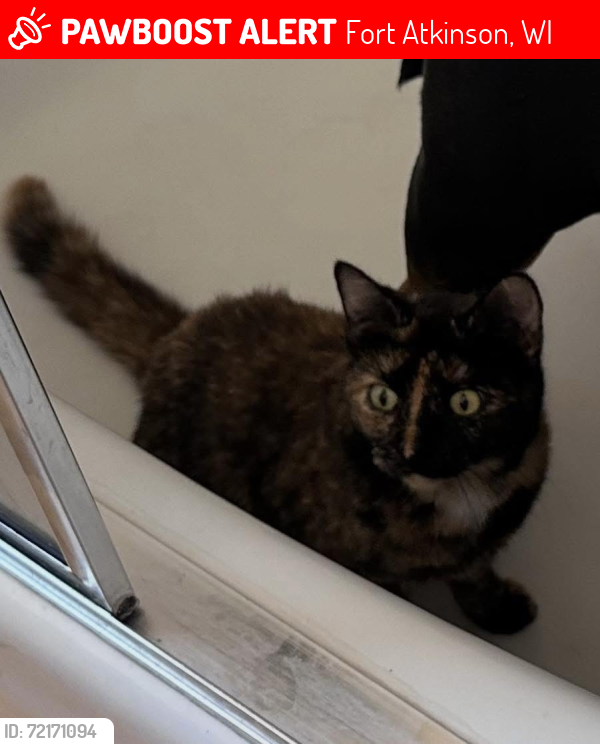 Lost Female Cat last seen S. Main St. , Fort Atkinson, WI 53538