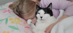 Lost Male Cat last seen E 81st & Mingo, Tulsa, OK 74133