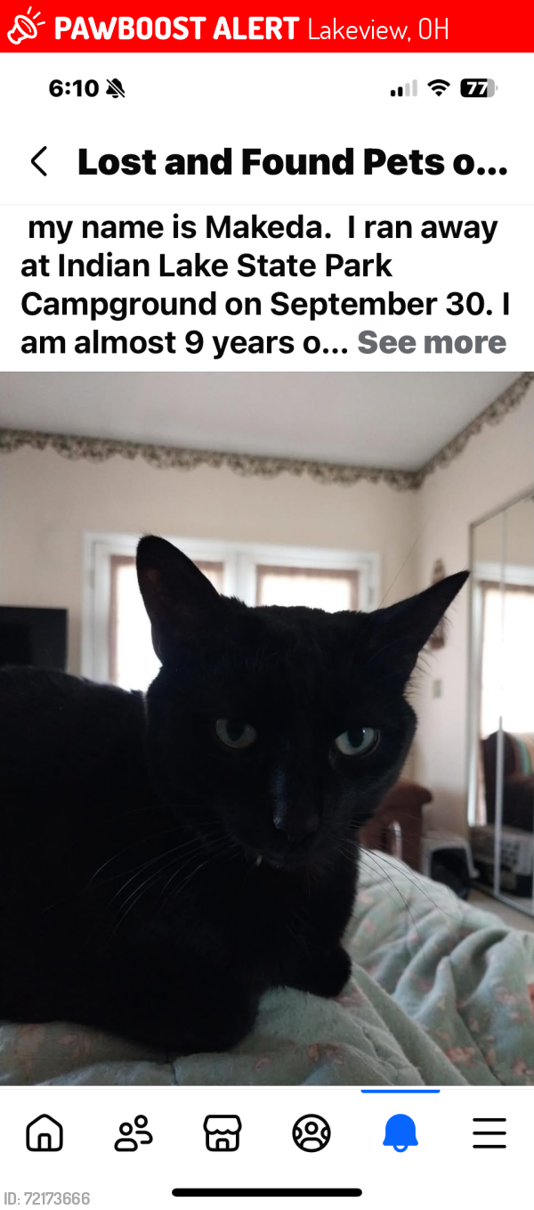 Lost Female Cat last seen Indian Lake State park campground, Lakeview, OH 43331