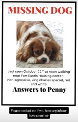 Lost Female Dog last seen Fort Eustis, Newport News, VA 23604