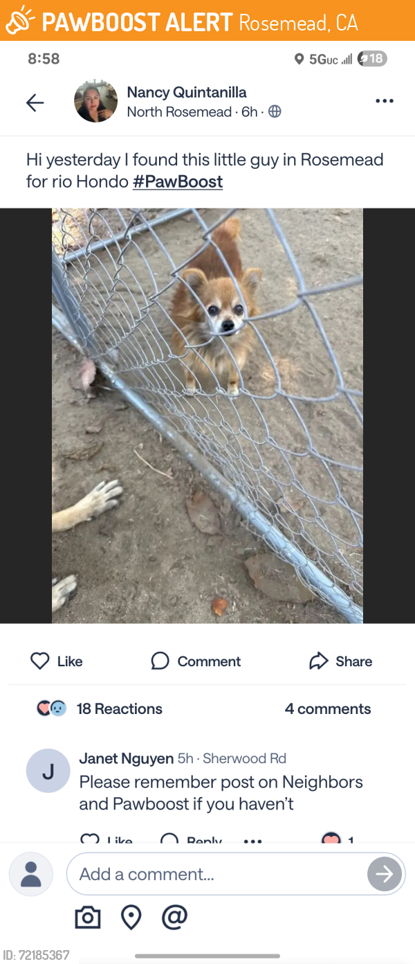 Found/Stray Male Dog last seen Rio hondo in Rosemead , Rosemead, CA 91770