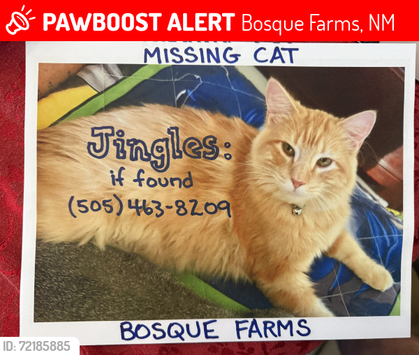 Lost Male Cat last seen Main St in Bosque Farms and Morrison Dr, Bosque Farms, NM 87068