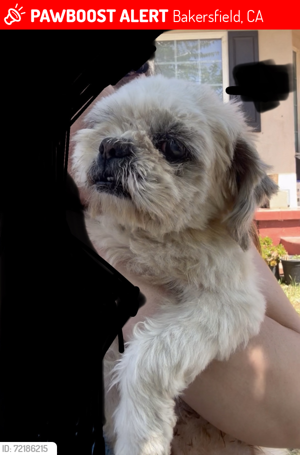 Lost Male Dog last seen Baker st and Grace st , Bakersfield, CA 93305
