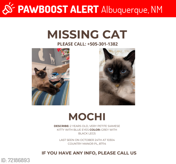 Lost Female Cat last seen Universe and Irving , Albuquerque, NM 87114