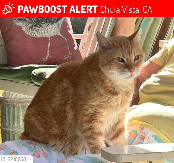 Lost Male Cat last seen Mariposa street, Chula Vista, CA 91910