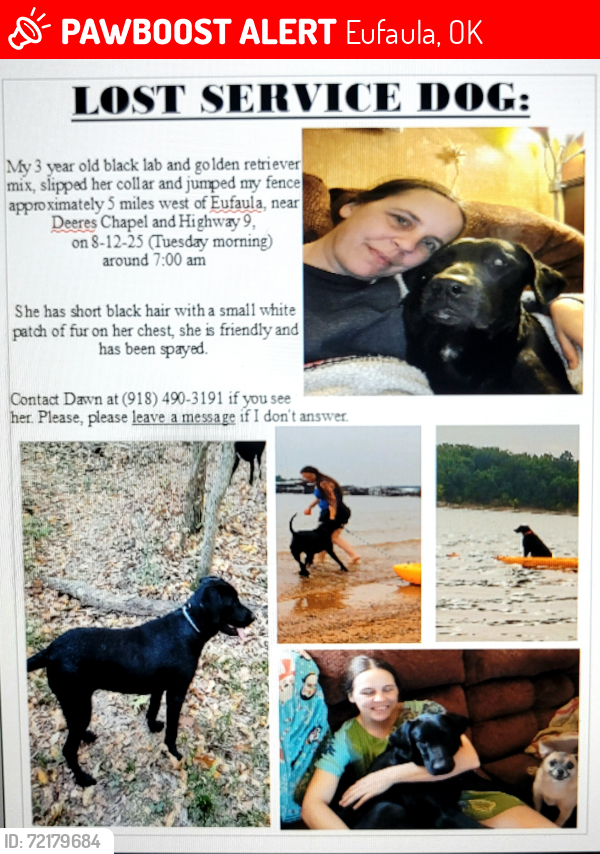 Lost Female Dog last seen deers chapel, hwy 9 eufaula, oklahoma, Eufaula, OK 74432