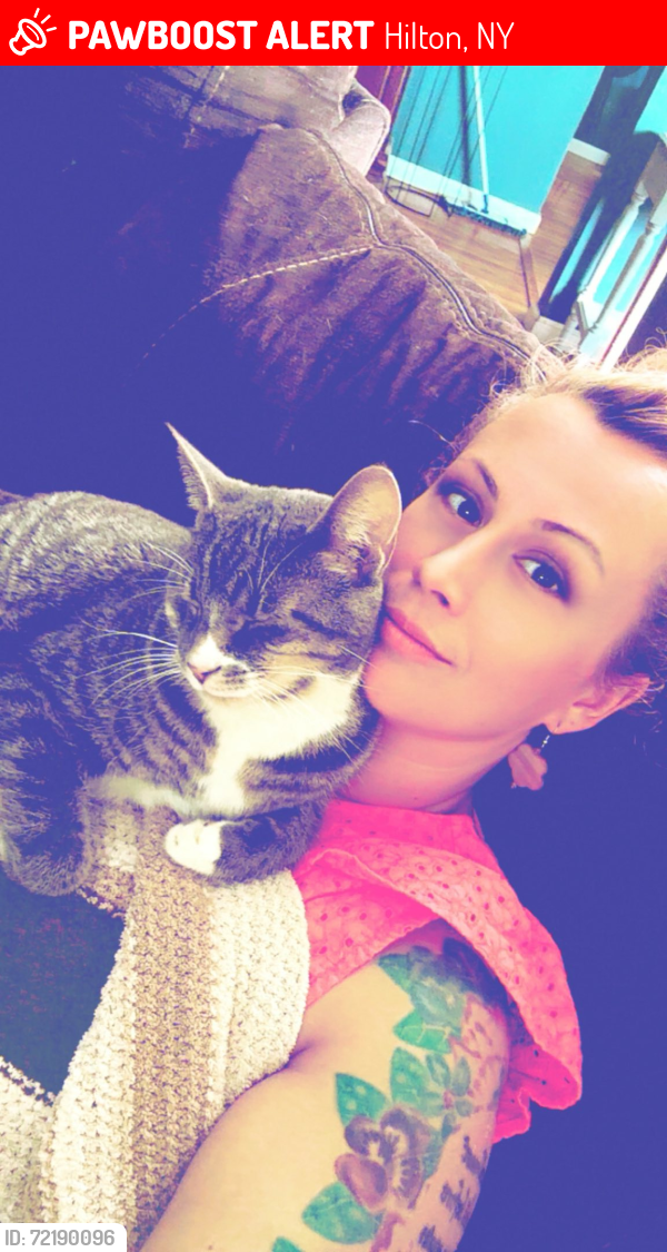 Lost Female Cat last seen Burritt Rd & Parma Center Rd, Hilton, NY 14468