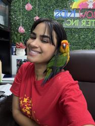 Lost Unknown Bird last seen Near w 16th st hialeah , Hialeah, FL 33010