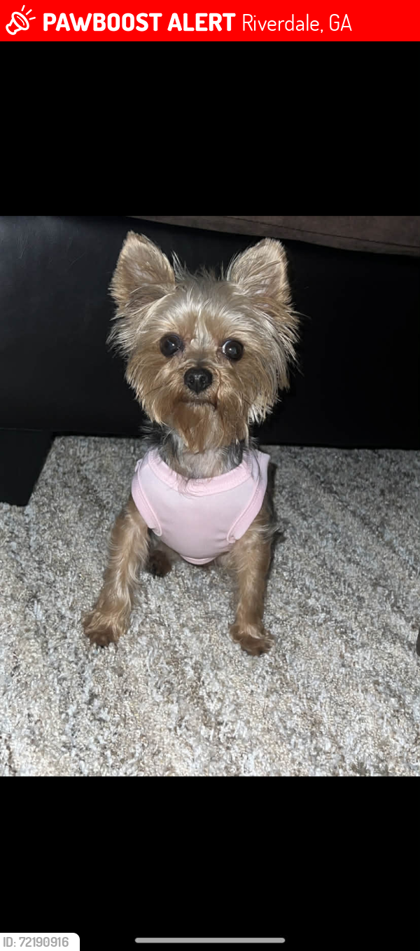 Lost Female Dog last seen Taylor rd Riverdale , Riverdale, GA 30274