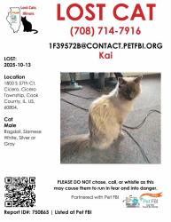 Reunited Male Cat last seen 18st and 57th ct, Cicero, IL 60804