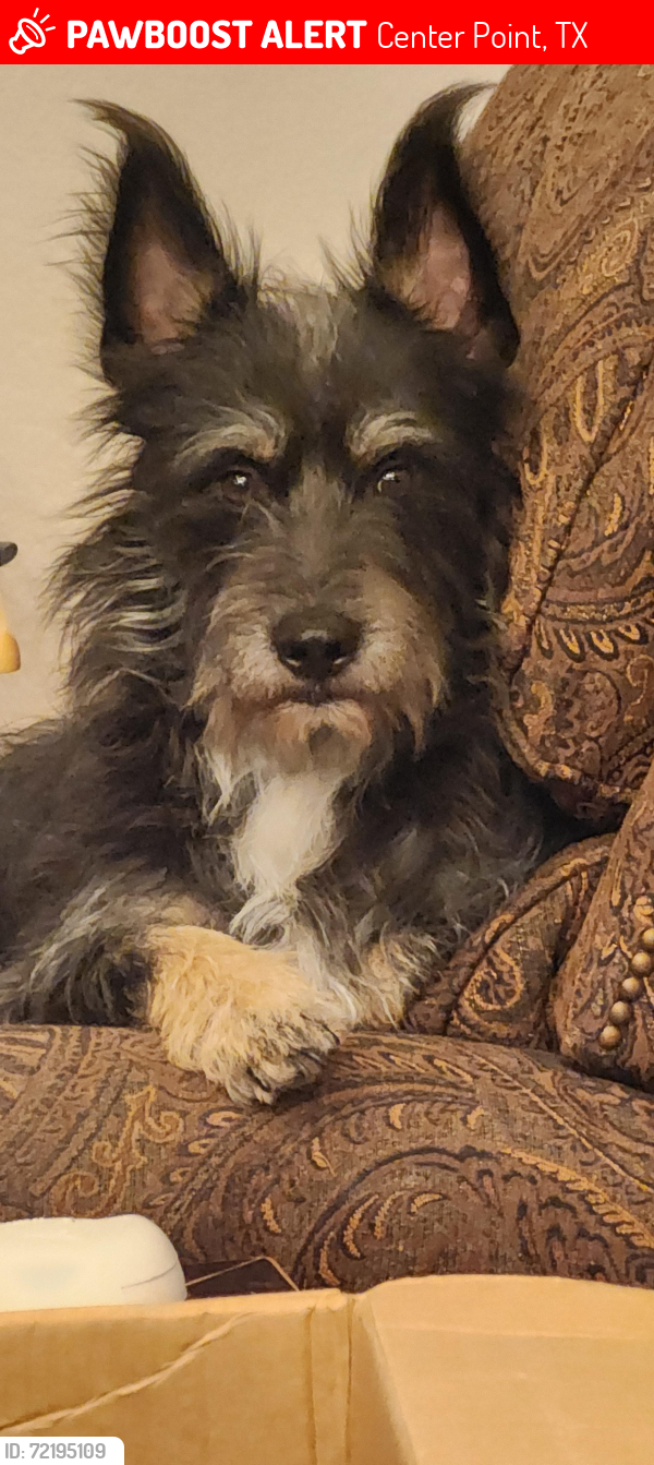 Lost Male Dog last seen Verde Hills Drive , Center Point, TX 78010