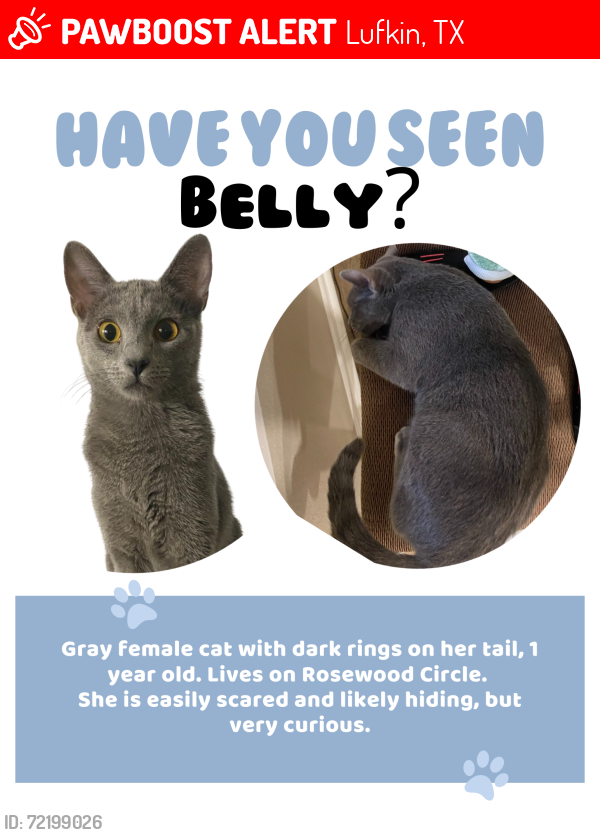 Lost Female Cat last seen Shadywood dr and Rosewood cir, Lufkin, TX 75901