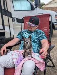 Lost Female Dog last seen Stevens Ave, Lexington, Alabama, Lexington, AL 35648