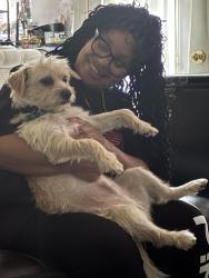 Lost Male Dog last seen Pondview lane, Winslow Township, NJ 08081