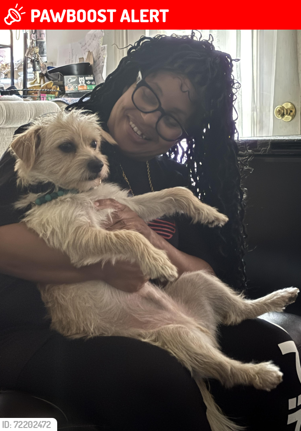 Lost Male Dog last seen Pondview lane, Winslow Township, NJ 08081
