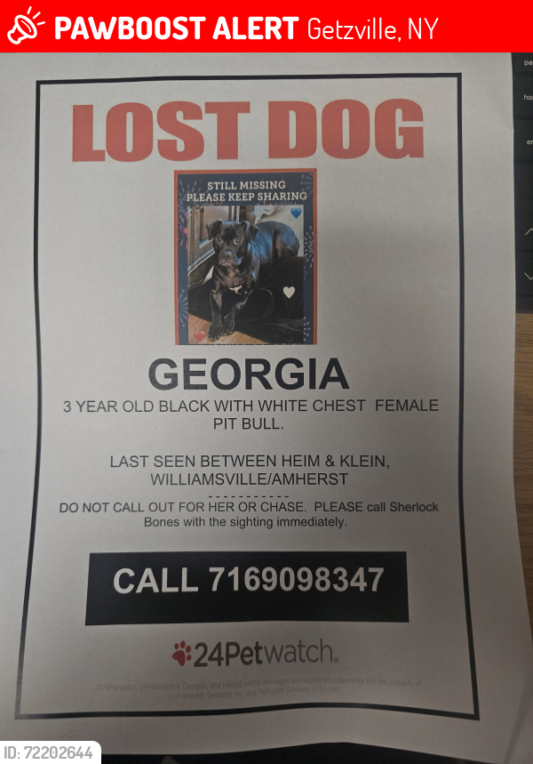 Lost Female Dog last seen Cottonwood & Countryside, Getzville, NY 14221