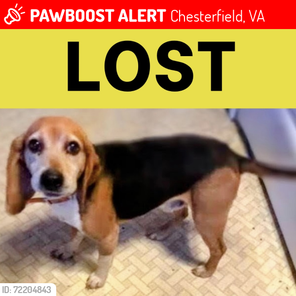 Lost Male Dog last seen Scouters Circle near Newby’s Bridge Rd., Chesterfield, VA 23832