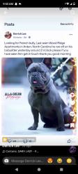 Reunited Male Dog last seen Glenn Bridge Rd, Arden, NC 28704, USA, Asheville, NC 28704