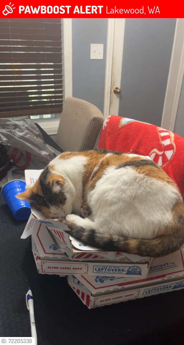 Lost Female Cat last seen Bridgeport & seeley lake, Lakewood, WA 98499