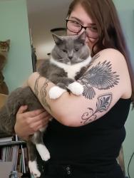 Lost Male Cat last seen Louise Drive and Lewis Circle, Commerce, GA 30529