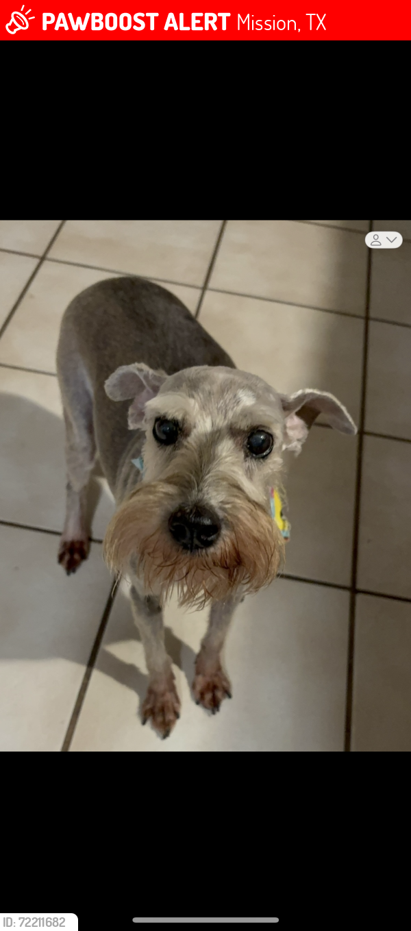Lost Female Dog last seen Griffin Pkwy and Los Ébanos Rd., Mission, TX 78572