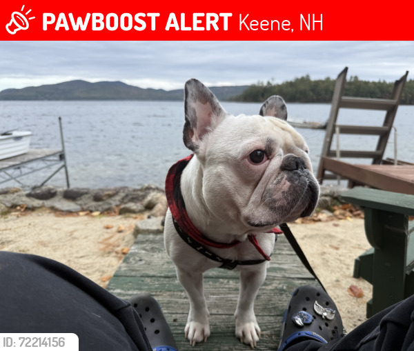 Lost Male Dog last seen Butternut Dr and Liberty Lane, Keene, NH 03431
