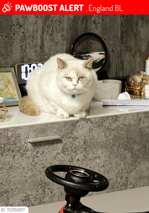Lost Male Cat last seen Bury BL9 9PL , , England BL9