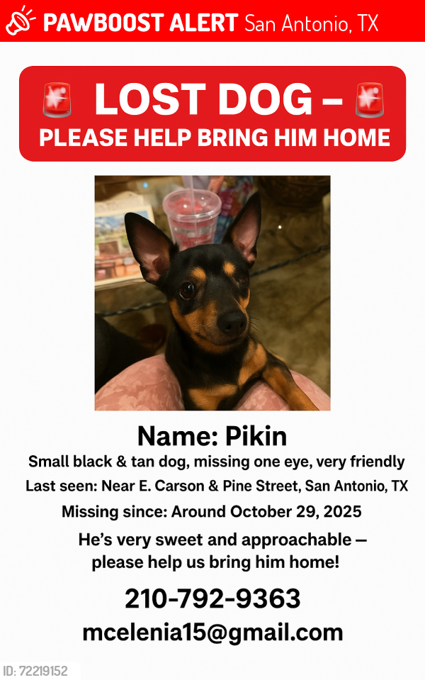 Lost Male Dog last seen Government hill, San Antonio, TX 78208
