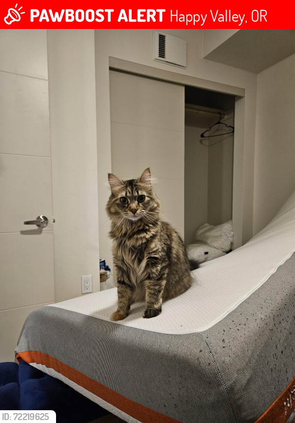 Lost Female Cat last seen Near Mount Talbert off Talbert Street and 97th, Happy Valley, OR 97015