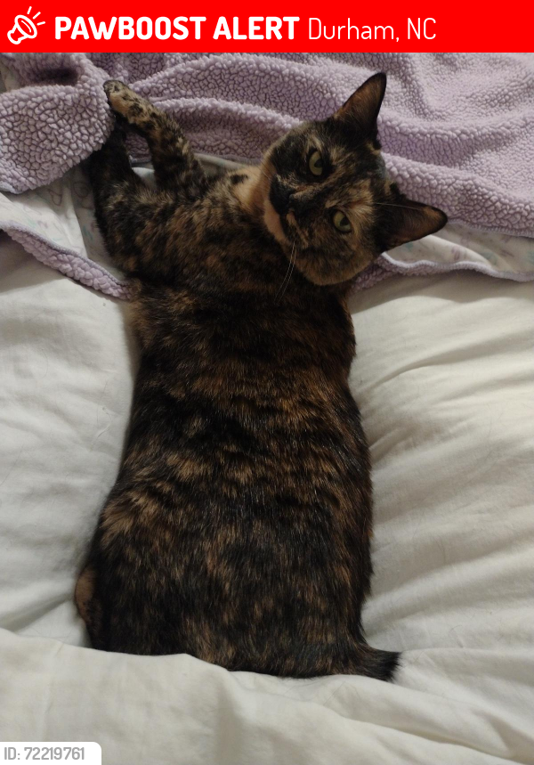 Lost Female Cat last seen Fox Chase Apartments/The woods/Woodcroft Parkway and Highgate Dr , Durham, NC 27713
