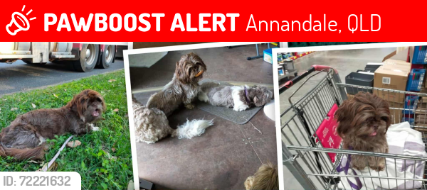Lost Female Dog last seen Yolanda st, Annandale, QLD 4814