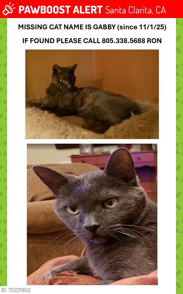 Lost Male Cat last seen Scenic Hills Community (Sierra Hwy & Rainbow Glen), Santa Clarita, CA 91321