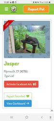 Lost Male Cat last seen East Orchard Street, Plymouth, CT 06786