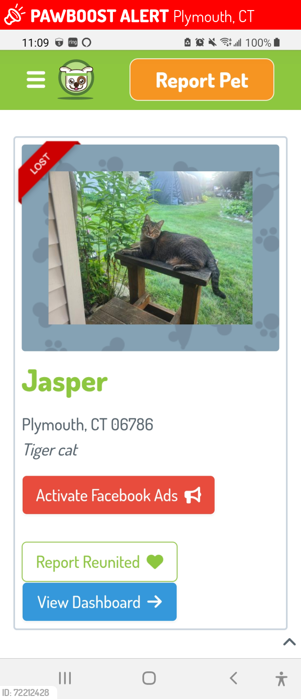 Lost Male Cat last seen East Orchard Street, Plymouth, CT 06786