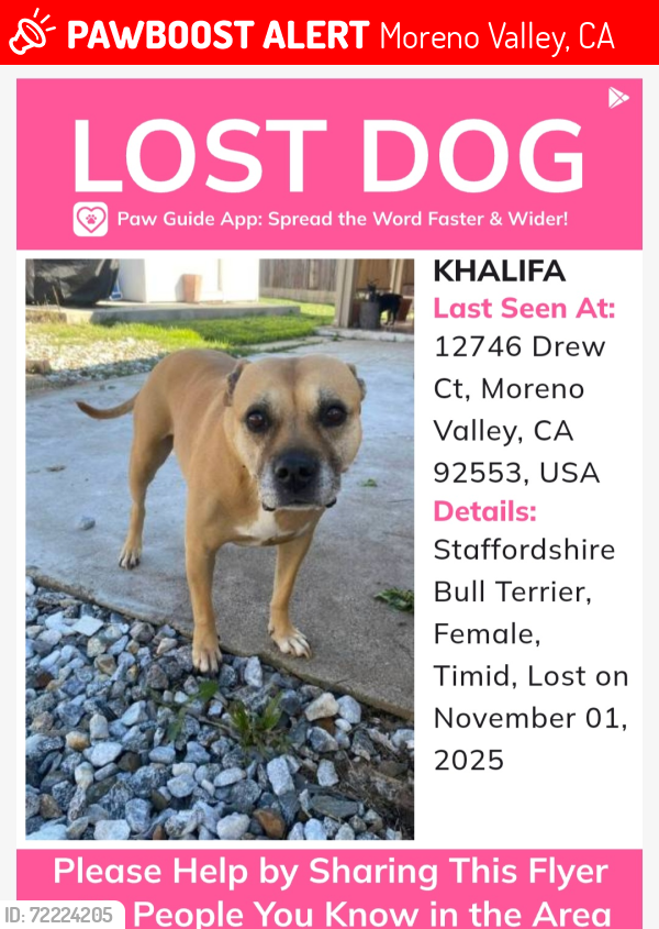 Lost Female Dog last seen Graham , Moreno Valley, CA 92553