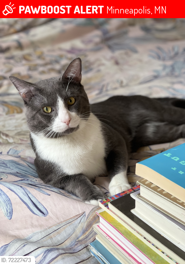 Lost Male Cat last seen 42nd & Russsell, Minneapolis, MN 55412
