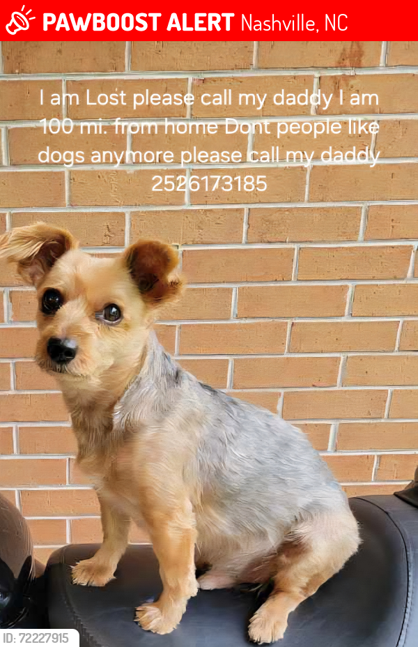 Lost Male Dog last seen Brookway village apmts, Nashville, NC 27856