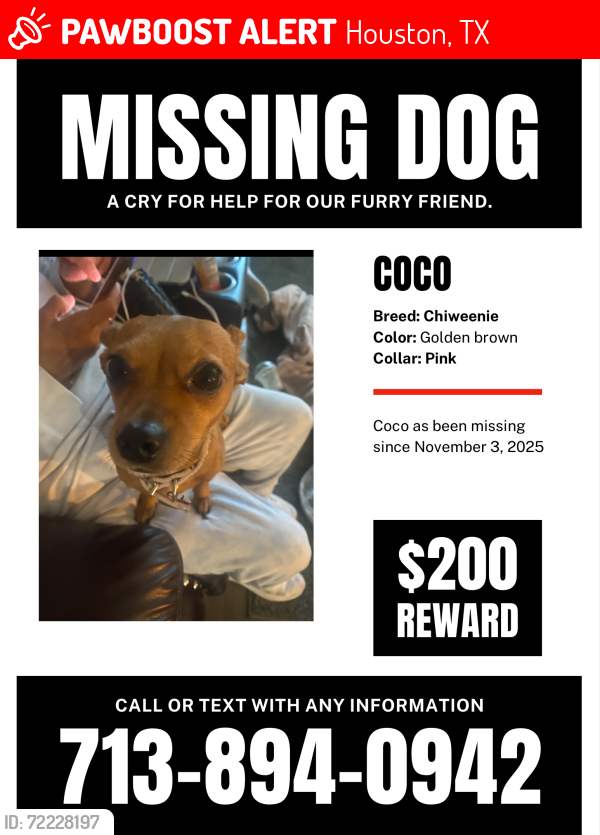Lost Female Dog last seen W Little York and hempstead, Houston, TX 77041