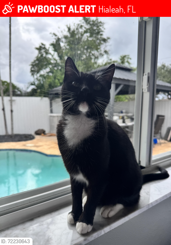 Lost Female Cat last seen by entrance , Hialeah, FL 33015