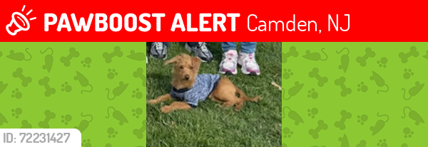 Lost Male Dog last seen Centerville , Camden, NJ 08104