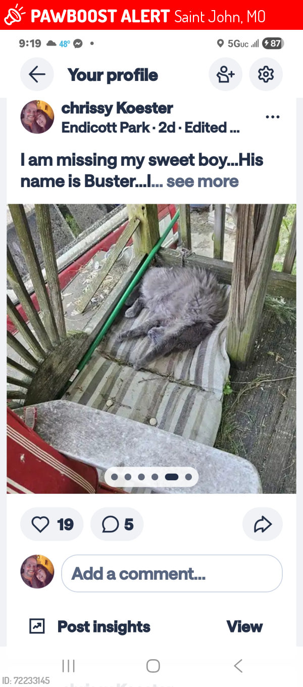 Lost Male Cat last seen Endicott Park, Saint John, MO 63114